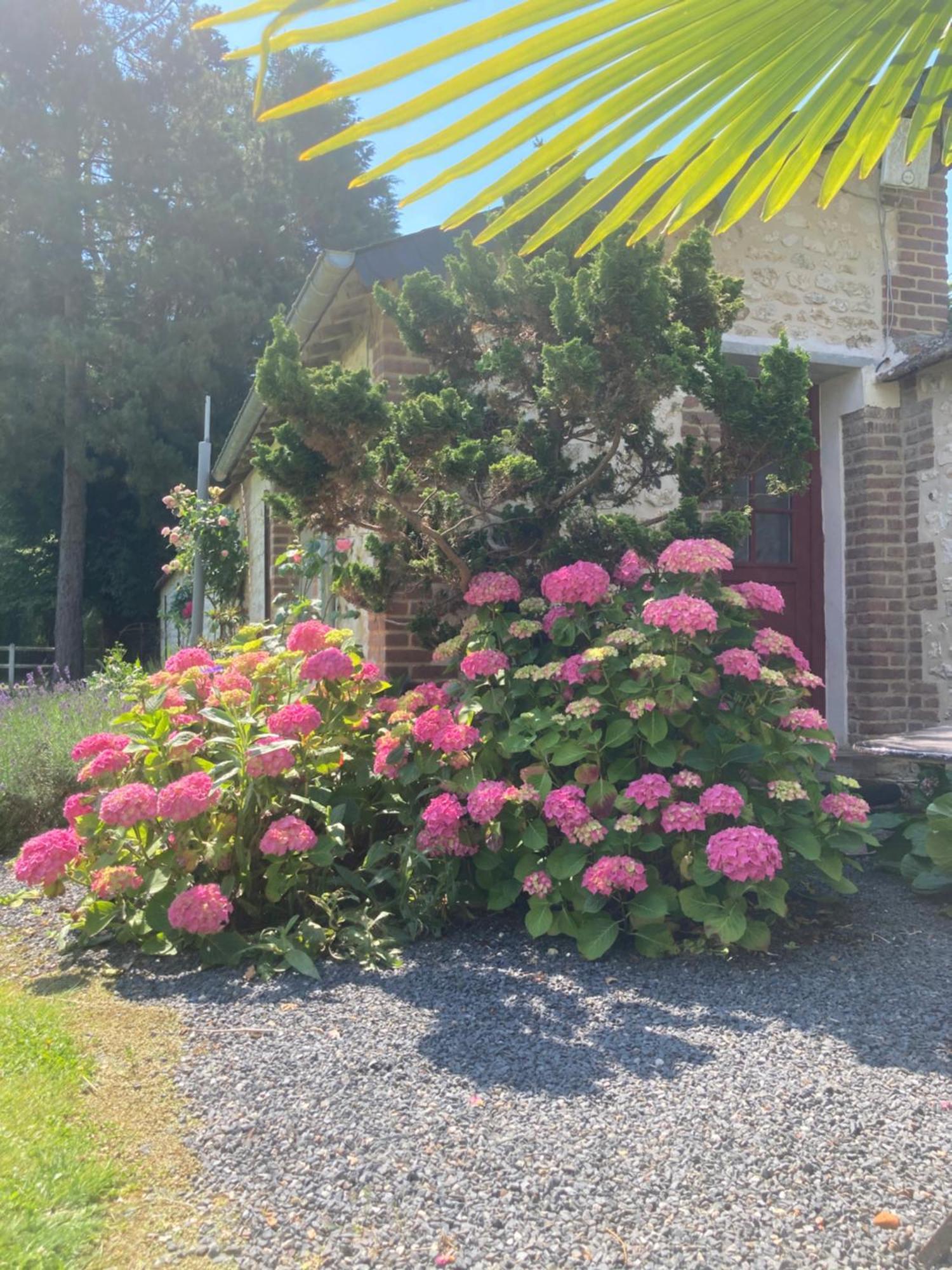 L'Oreade Amfreville-sur-Iton ภายนอก รูปภาพ
