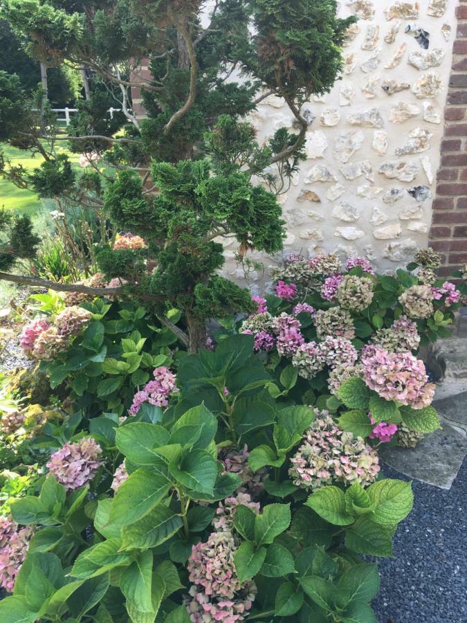 L'Oreade Amfreville-sur-Iton ภายนอก รูปภาพ
